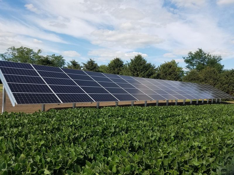 Can solar panels generate enough power for my home or business?